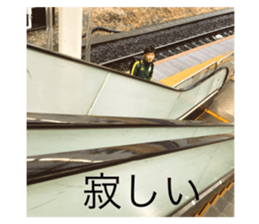 590529702