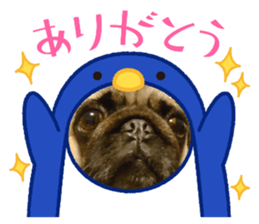 590533448