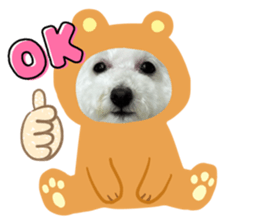 590537885