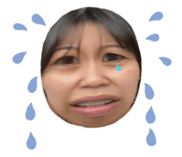 590541456
