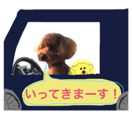 59059135