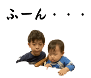 590615355