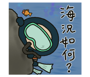 590646554