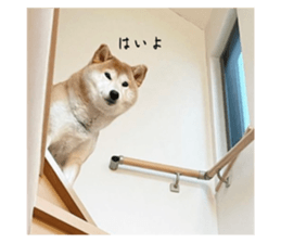 590652965