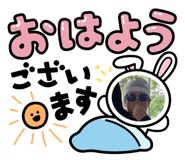 590665216
