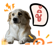 590666665