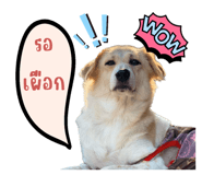 590666669