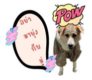 590666673
