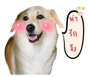 590666680