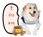 590666681