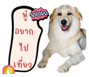 590666682