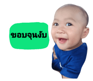 590666883