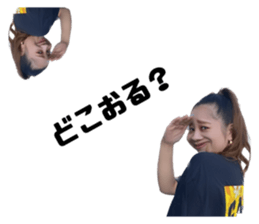 590676169