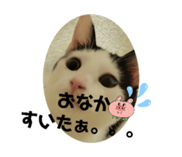 590683695