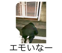 590712438