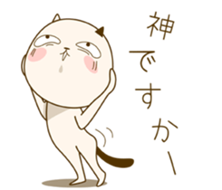 5908007