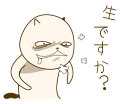5908020