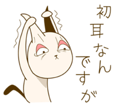 5908029