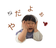 590807955