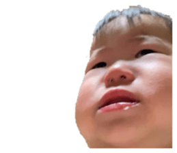 590888231