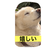 590888565