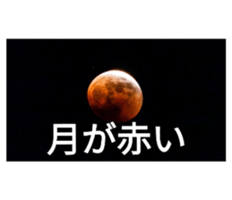 590950136