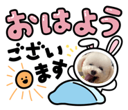 590996277
