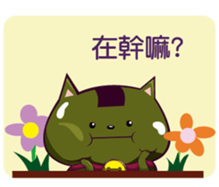 59100793