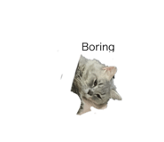 591018458