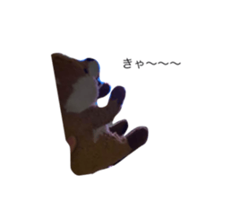 591041026