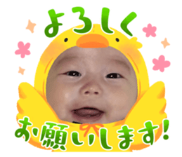 591045893