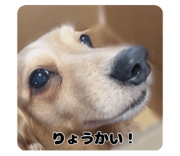 591051251