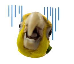 591112705