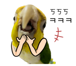 591112712