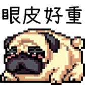 591145019