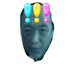 591174497