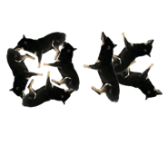 591200800