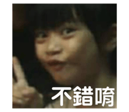 591211366