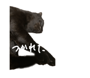 591217400