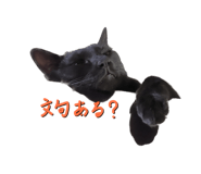 591217405