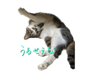 591217414