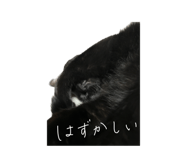 591217417