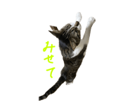 591217421