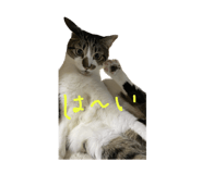 591217422