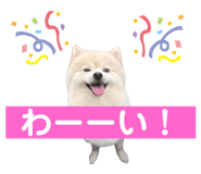 591217707