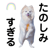 591217714