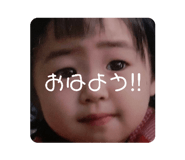 591224990
