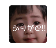 591224998