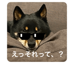 591226318