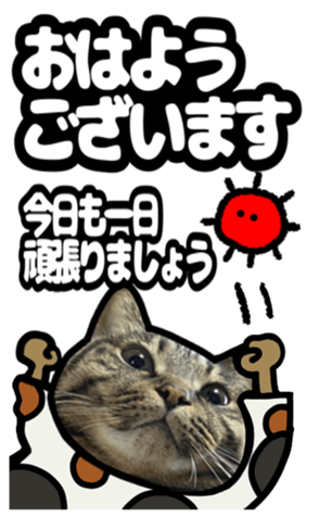 591279862